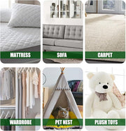 Green Pickly Ash Mint Removal