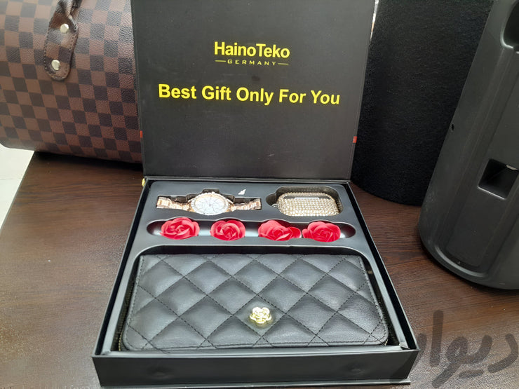 Haino Teko GP-25 Smart Watch